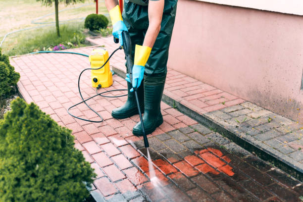 Professional Pressure Washing in Magnolia, NC